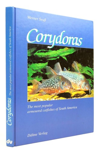 Corydoras the most popular - corydoras:,
