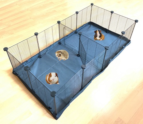 Large guinea pig habitat - pig,