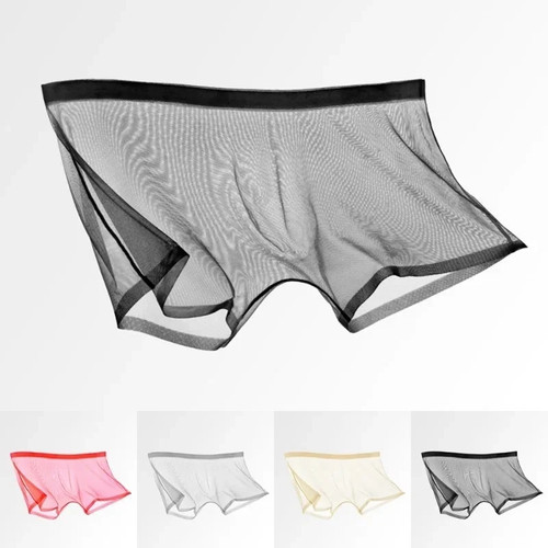 Mens sexy briefs see through - mens,