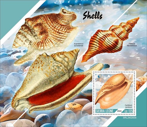 Shells mnh stamps 2024 sierra - shells,