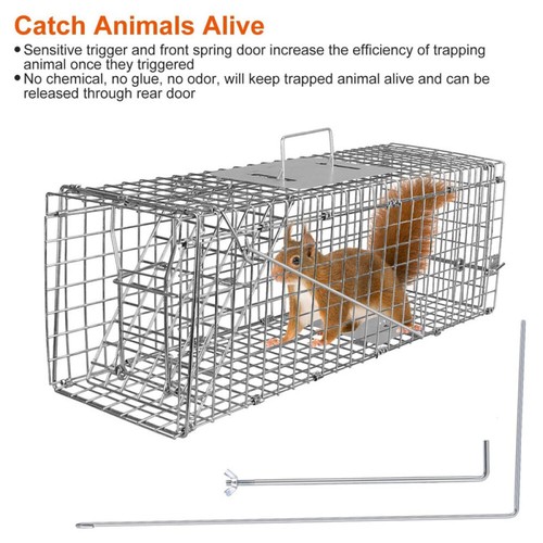 Large humane live catch trap - large,