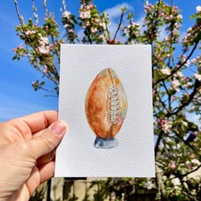 Original watercolour - original,