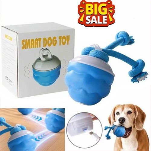Interactive dog ball - interactive, for
