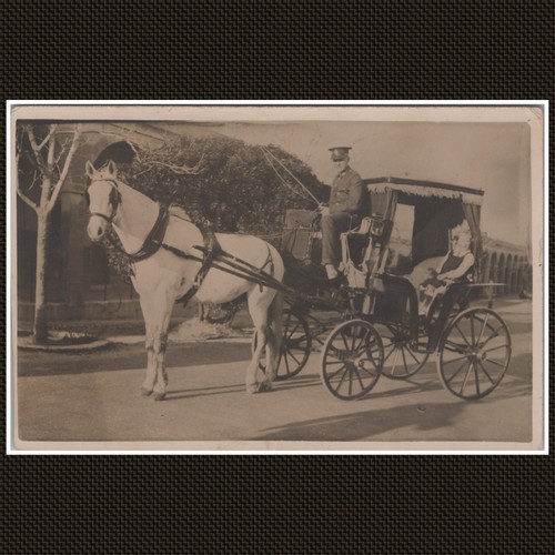 Horse drawn carriage - horse-drawn,