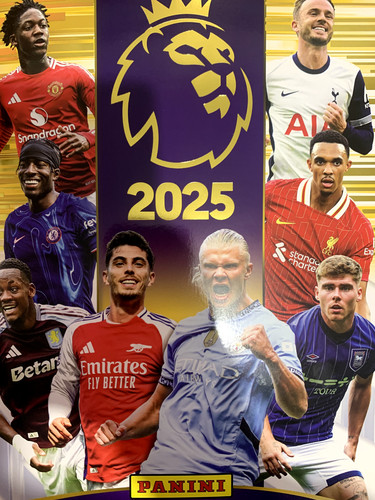 Panini premier league - panini,