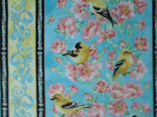 Birds flowers canary - canary, bird