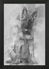 Belgian Shepherd dog 4 mon