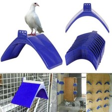 Fashion bird dove pigeon rest - bird,