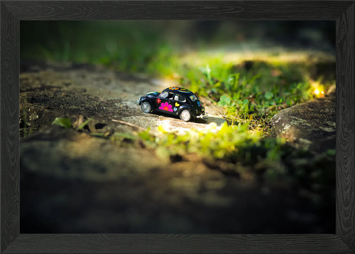 Miniature beetle flower - miniature,