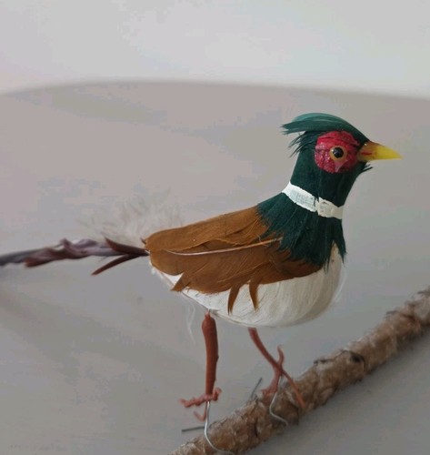 Vintage pheasant bird - vintage,