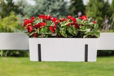 Low Rattan Plant Pot Modern