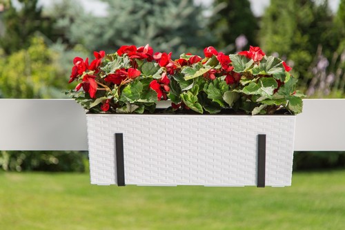 Low rattan plant pot modern - low,
