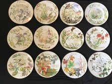 Caverswall The Country Diary of an Edwardian Lady 12 Months of the Year Plates