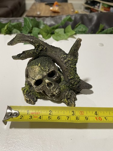 Sunken skull ornament fish - sunken,