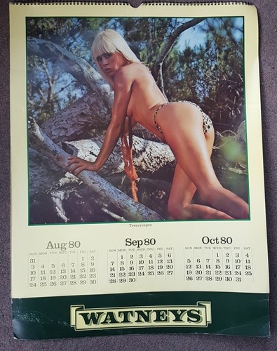 Large vintage 1980 watneys - 1980,