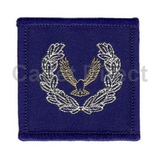 Air Cadet Master Cadet Badge