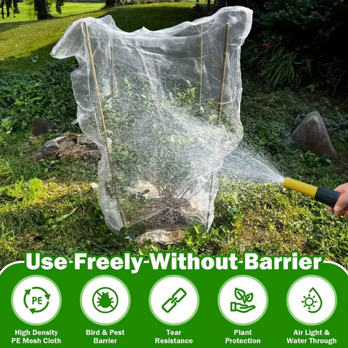 Garden plant protection - plant,