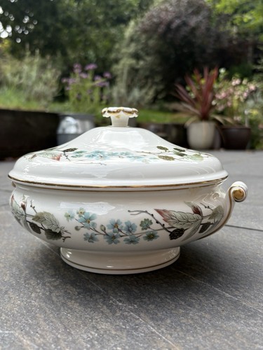 Wedgwood spring morning - spring,