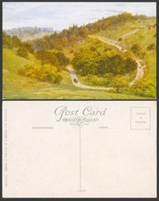 A.R. Quinton Old Postcard Zig Zag Road, Boxhill Box Hill, Horse Cart Surrey 1512