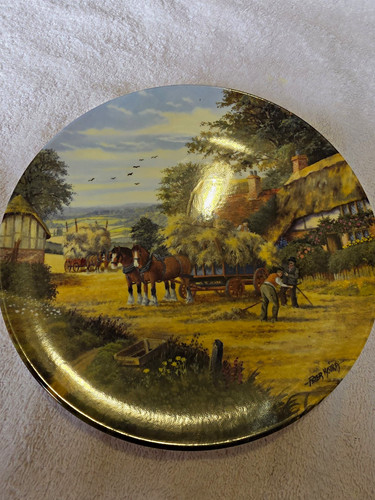 Royal doulton collector plates - royal,