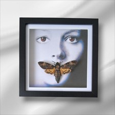 Real Deaths Head Hawk Moth Black Frame Handmade silence lambs horror taxidermy 