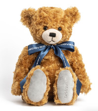 Land Rover Discovery Teddy