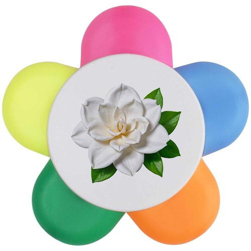 Gardenia flower - 'gardenia,