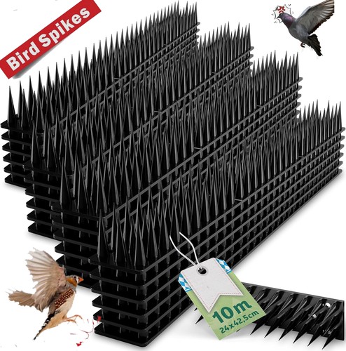 10m birds spikes cat - birds,