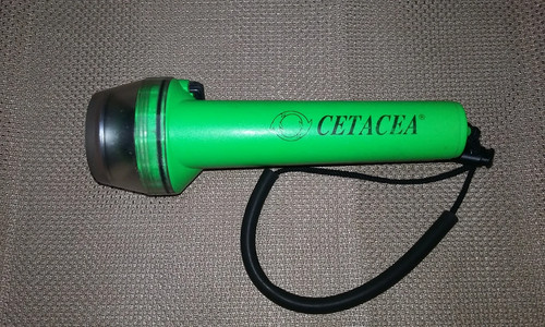 Cetacea scuba dive - cetacea, torch