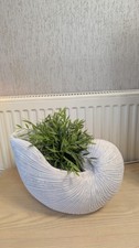 Shell Plant Pot Planter stone