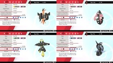 Ultra Shiny 6IV Tapu Koko