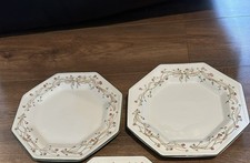 Eternal Beau Dinner Plates X 2