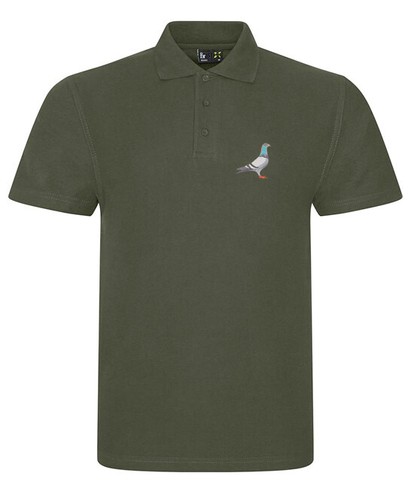 Exclusive pigeon racing - pigeon,