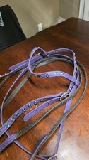 Two Horse tack BLING Beta