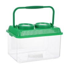  Insect Display Case Kids