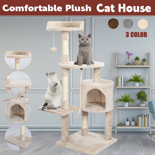 Cat tree scratching - cat, post
