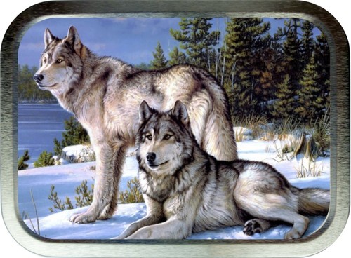 Wolves portrait 2oz silver - wolves,