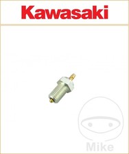 Kawasaki Z 1100 ST 1981-1983