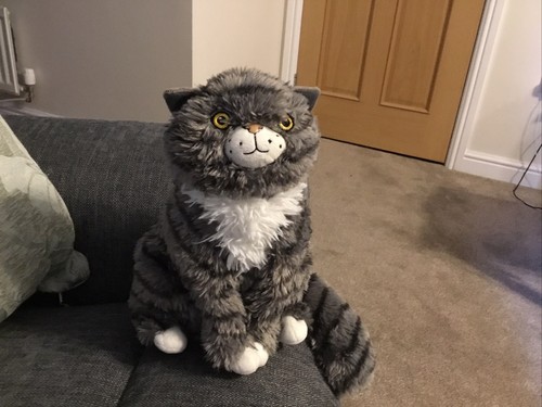 Sainsbury mog the forgetful - mog,