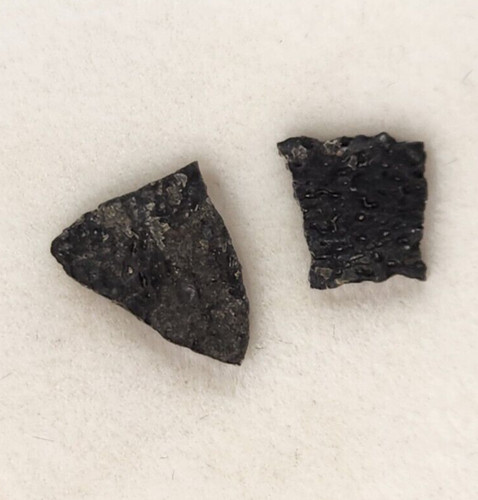 Hadrosaur egg shell fossils - hadrosaur,