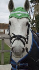 Reflective Horse Headwear to Enable Being Seen Horse Equipment Horse Equipment