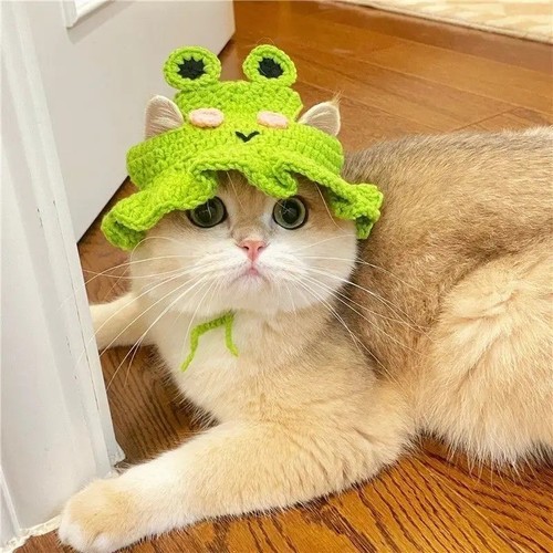 Cute cat hat knitted pet - cute,