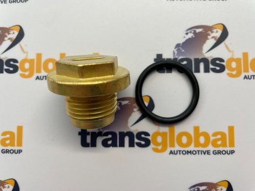 Brass radiator thermostat plug - brass,