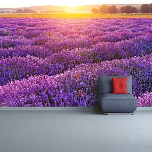 Tulup photo wallpaper - tulup, self