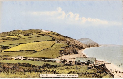 Dorset charmouth golden - dorset.,