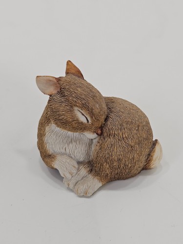 Sleeping bunny rabbit - sleeping,