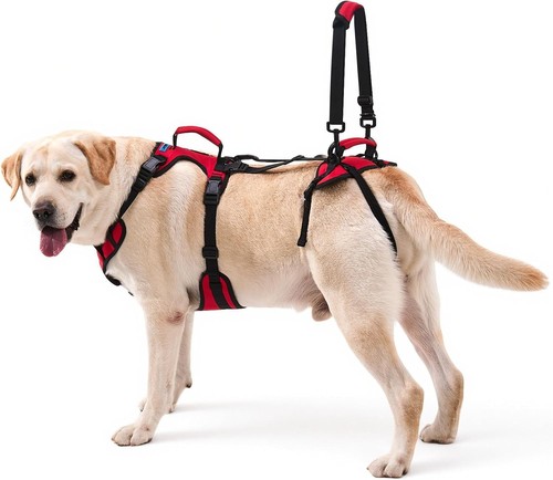 Dog lift harness for - dog,