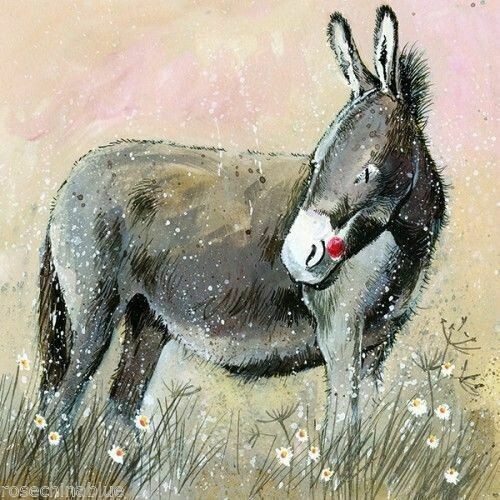 Donkey daisies card alex - donkey&,