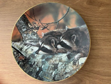 Raccoon Collector Plate -  'Fascination' by Carl Brenders. WS George China 1989