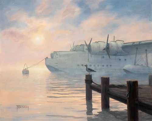 Short sunderland raf plane - short,